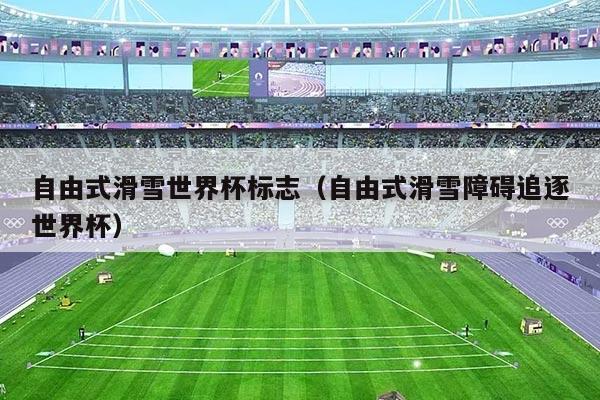 自由式滑雪世界杯标志(自由式滑雪障碍追逐世界杯)