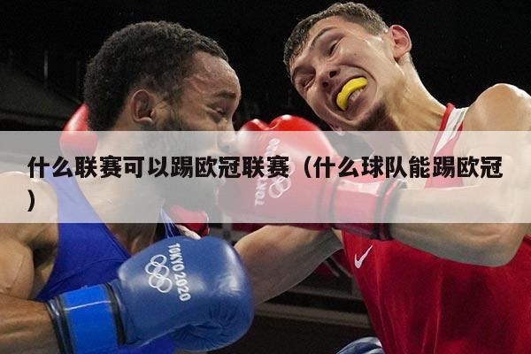 什么联赛可以踢欧冠联赛（什么球队能踢欧冠）