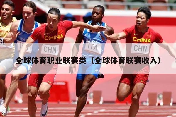 全球体育职业联赛类（全球体育联赛收入）