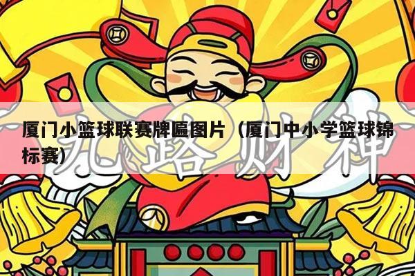 厦门小篮球联赛牌匾图片（厦门中小学篮球锦标赛）