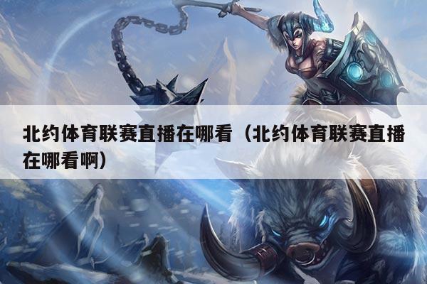 北约体育联赛直播在哪看（北约体育联赛直播在哪看啊）
