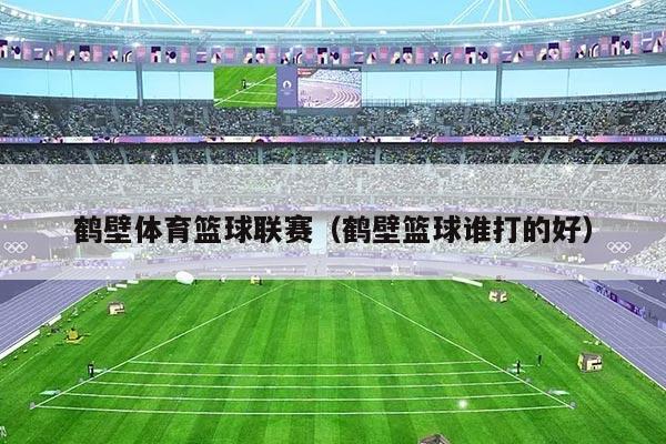 鹤壁体育篮球联赛（鹤壁篮球谁打的好）