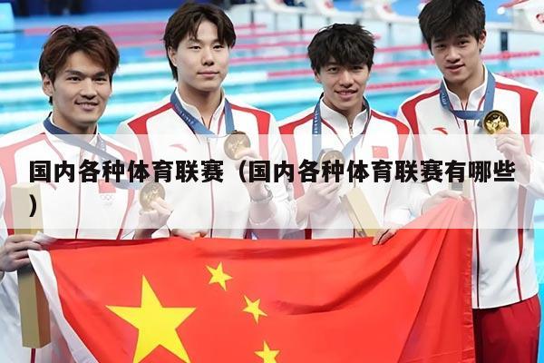 国内各种体育联赛(国内各种体育联赛有哪些)