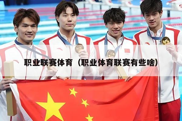 职业联赛体育(职业体育联赛有些啥)