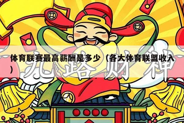 体育联赛最高薪酬是多少（各大体育联盟收入）