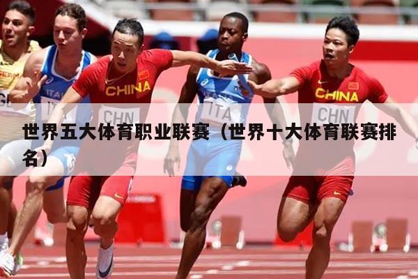 世界五大体育职业联赛(世界十大体育联赛排名)