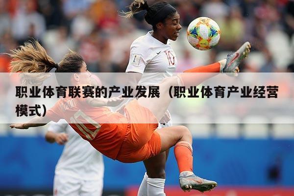 职业体育联赛的产业发展（职业体育产业经营模式）