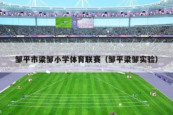 邹平市梁邹小学体育联赛(邹平梁邹实验)