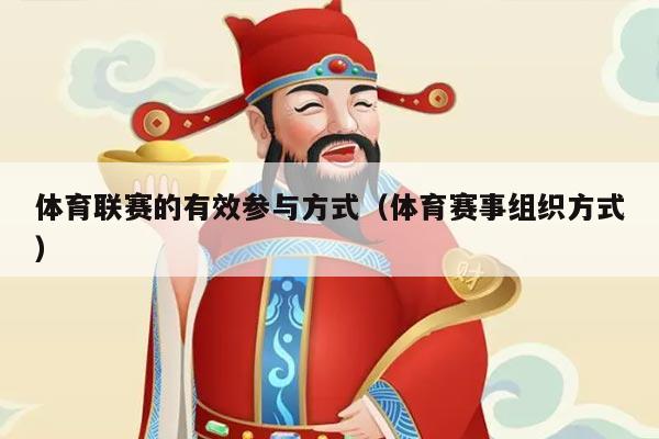 体育联赛的有效参与方式（体育赛事组织方式）