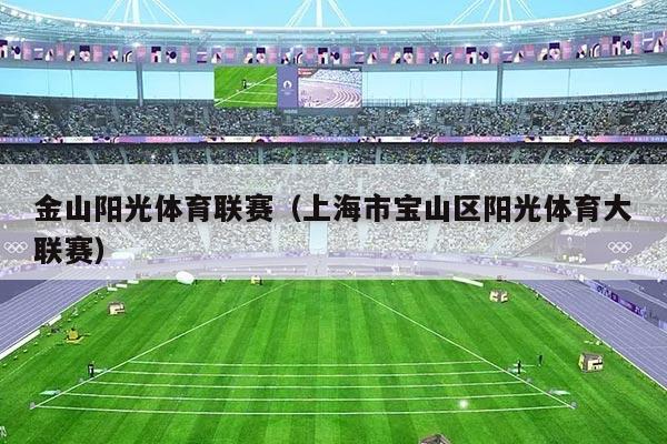金山阳光体育联赛（上海市宝山区阳光体育大联赛）