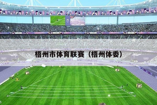 梧州市体育联赛（梧州体委）