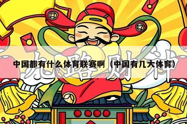 中国都有什么体育联赛啊（中国有几大体育）