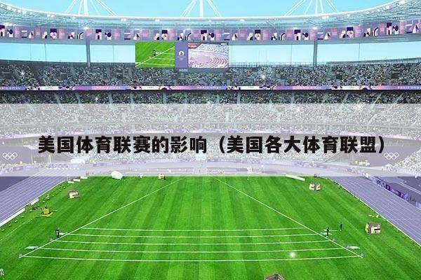 美国体育联赛的影响（美国各大体育联盟）