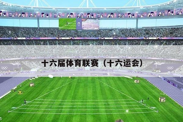 十六届体育联赛（十六运会）