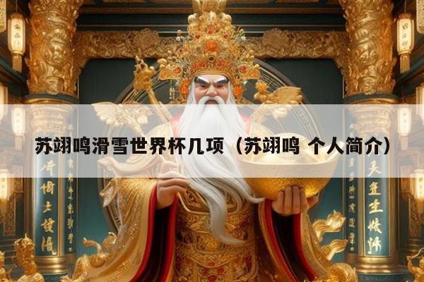 苏翊鸣滑雪世界杯几项（苏翊鸣 个人简介）