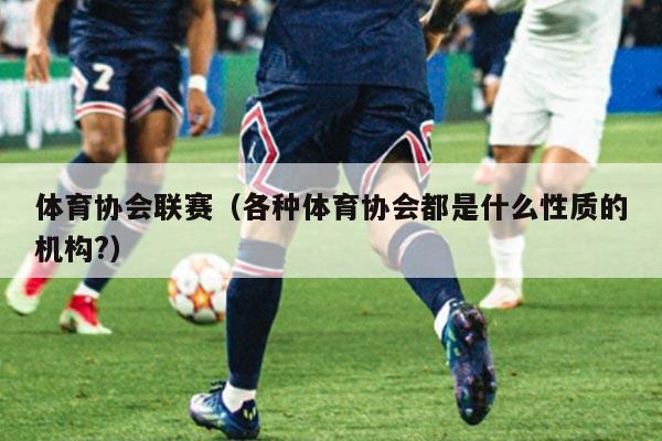 体育协会联赛（各种体育协会都是什么性质的机构?）