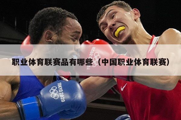 职业体育联赛品有哪些（中国职业体育联赛）