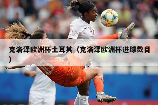 克洛泽欧洲杯土耳其（克洛泽欧洲杯进球数目）