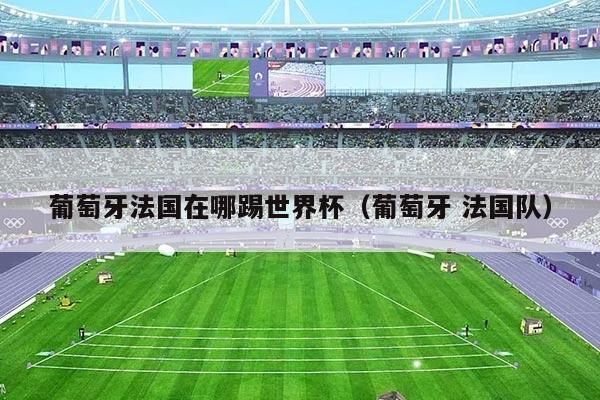 葡萄牙法国在哪踢世界杯（葡萄牙 法国队）