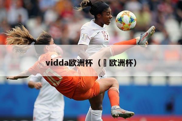 vidda欧洲杯（嚄欧洲杯）